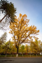 C10B7036-182F-41BC-884C-752C5FF1C3EF/L0/001