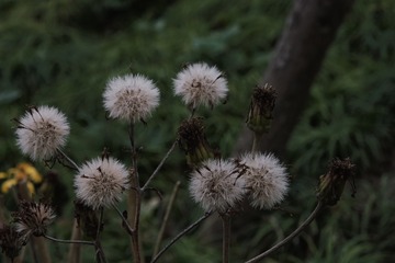 Optional("3536D088-A81E-46F3-9CA4-95DEC1748607/L0/001")