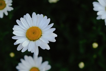 459EC3D4-1253-48B6-9379-18F49883F3E9/L0/001