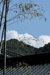 8118C1A6-02AE-42DC-A098-E265BF204E62/L0/001