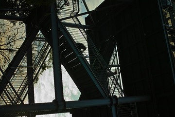 DP2M0028