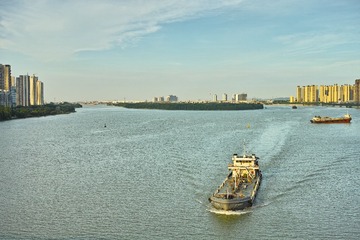 DP2M0261
