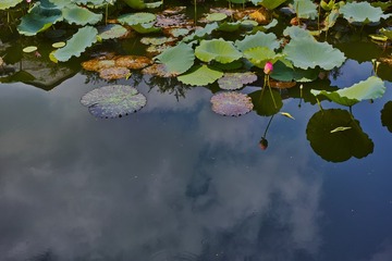 SDIM0389
