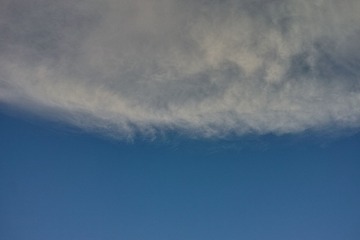 DP2M0436