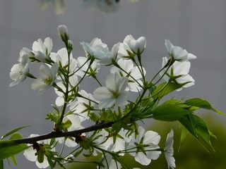 P1240478