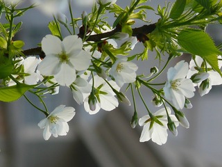 P1240561