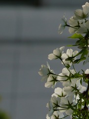 P1240571