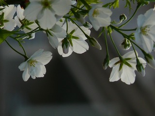 P1240559