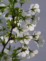 P1240576