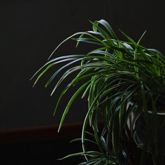 01 (5)