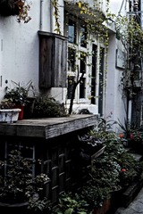 SDIM0205