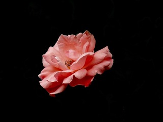 P1290197