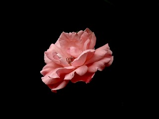 P1290196
