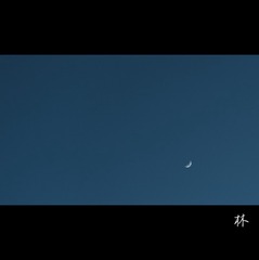 2028B015-B6B5-4CB4-84DA-6A7DDADB16E4/L0/001