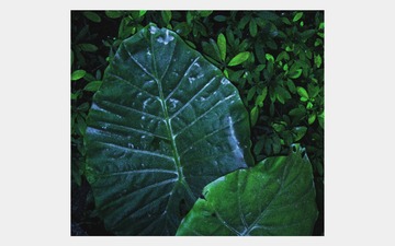 20104
