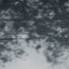 1617346