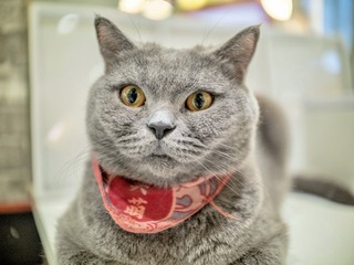 A149786B-D9FB-4628-867E-1544477B696B/L0/001