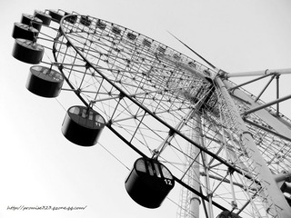 DSCF0636g