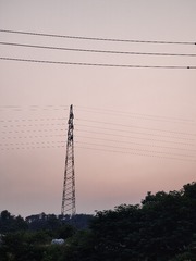 1000053623