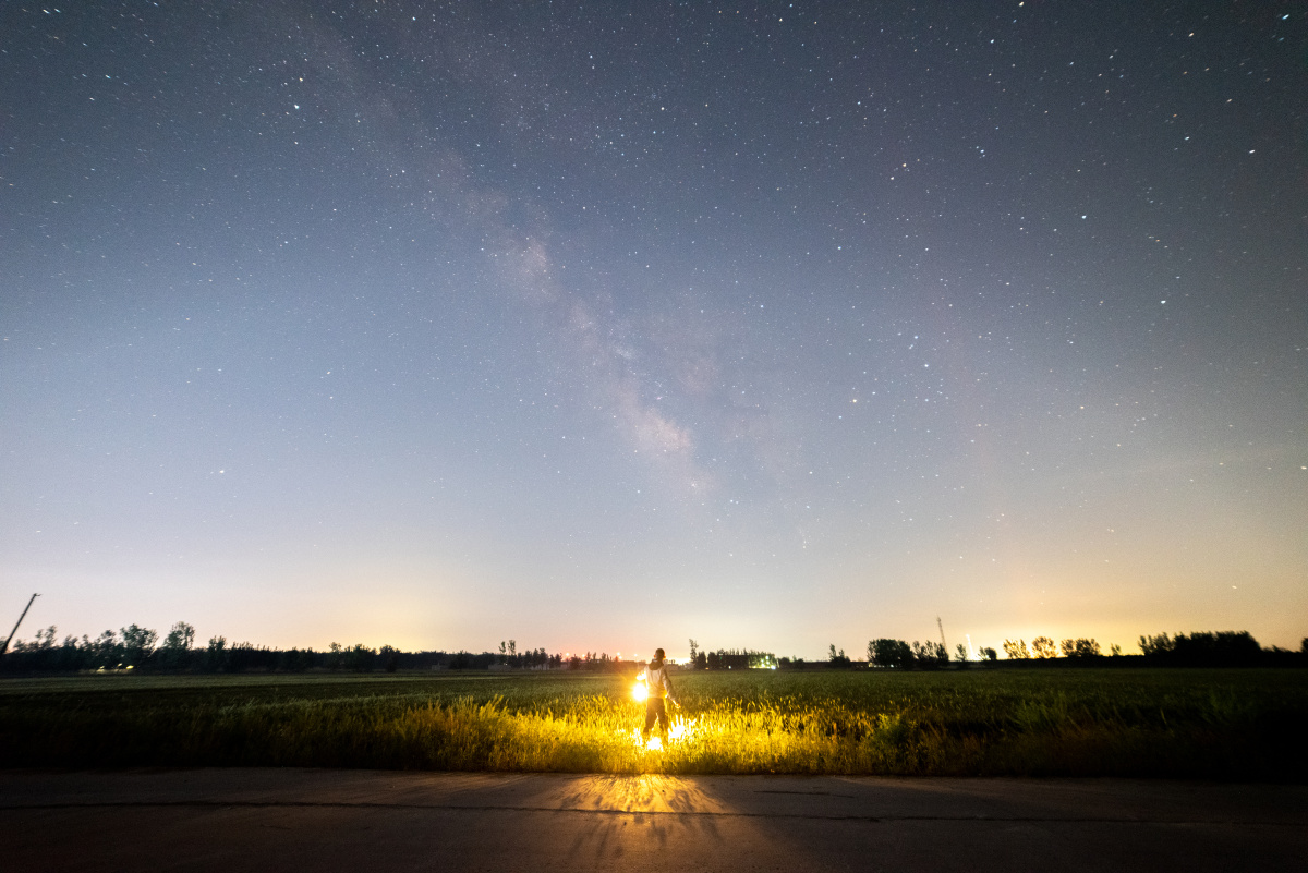麦田星空守望者
