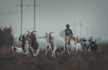 889537
