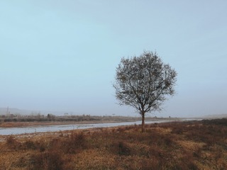 1000033123