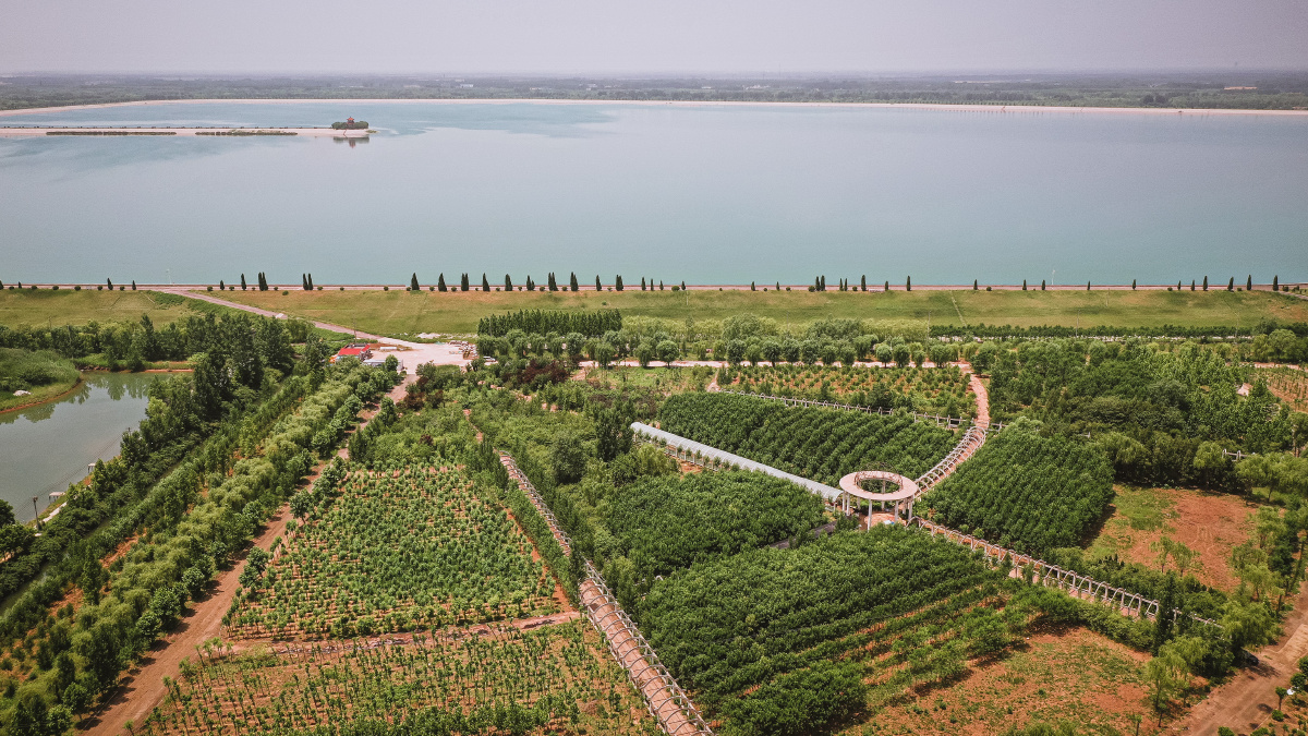 济南玉清湖湿地