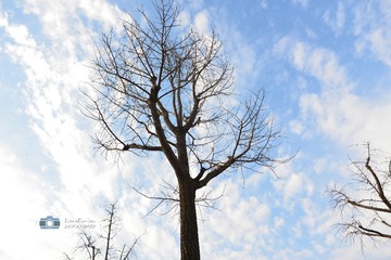 ads_6114_