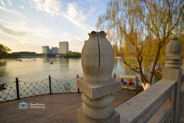 ads_6192_