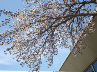1000110034