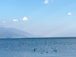 001