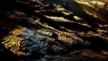 _DSC7239