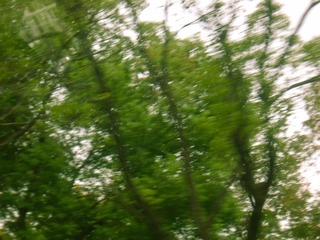 C7C0E7CE-A862-4E82-822E-74C4AE4E8DF0/L0/001