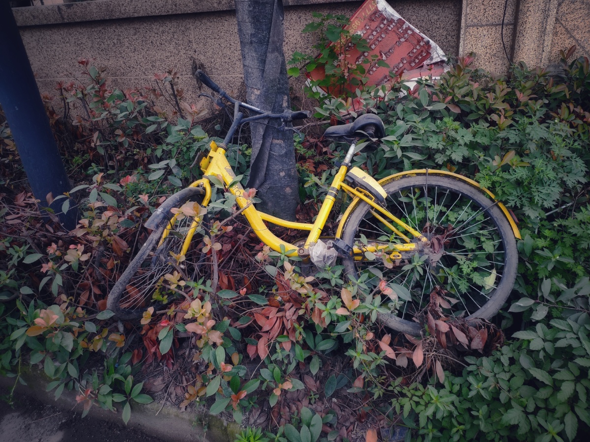 废弃的共享单车