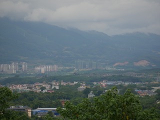 3015736