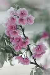 564627F3-30E2-4794-A90B-998AE8105511/L0/001