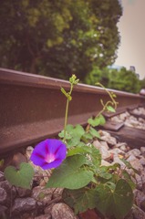 63B46484-58F9-42F4-AB58-91B072CC62D2/L0/001