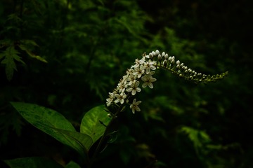 6373D891-03BB-416A-9DD6-DF4446E6E973/L0/001