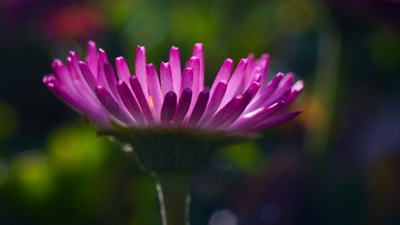 9A25771E-7B42-4CD1-8BD2-47F1BF91B0A8/L0/001