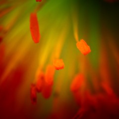 E8FF6550-7580-496F-AAC1-CEFAE5EF3F6C/L0/001