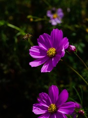 113582D7-AD5E-4E49-A31A-5EC110253A6C/L0/001