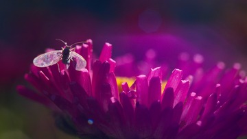 6C3FA986-61AB-4FD8-ADB2-ECE358F67A8F/L0/001