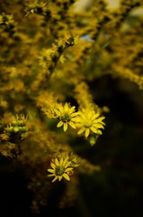 93C15318-497D-4E27-A784-73CE9196566E/L0/001