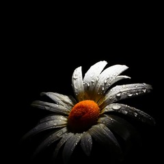 84994439-4B43-4D8F-B78B-5247458EEC70/L0/001