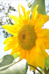 E52E63A6-9D8B-4371-A62F-08C0BD8B5C88/L0/001