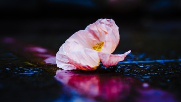 60C9D2A7-9297-46FB-9C0B-F74B53157F12/L0/001