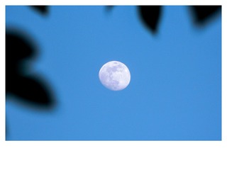 1018262