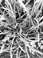 1F3D3163-6448-4A5B-AB12-80E7E04E85B3/L0/001