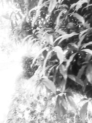 8C3B17EC-F691-4576-854B-A37C62A40D0F/L0/001