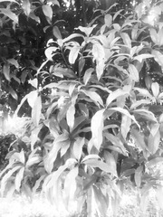 5F62D418-DF17-450D-B44F-F95AC5FD219B/L0/001